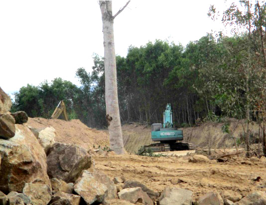 Thông tin từ đường dây nóng